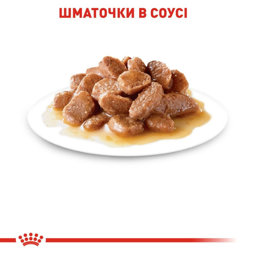 Вологий корм для котів Royal Canin Ageing 12+, 85 г - домашня птиця