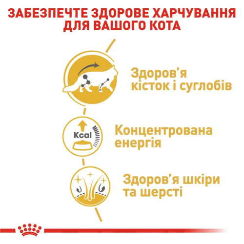 Вологий корм для котів Royal Canin Maine Coon Adult pouch 85 г 3+1 шт - домашня птиця