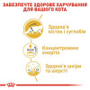 Вологий корм для котів Royal Canin Maine Coon Adult pouch 85 г 3+1 шт - домашня птиця