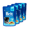 Вологий корм для кошенят Brit Premium pouch 4 x 100 г - курка