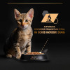 Вологий корм для кошенят Pro Plan Kitten Healthy Start 10 pouch х 85 г - індичка