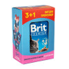 Вологий корм для котів Brit Premium pouch 4 x 100 г - курка та індичка