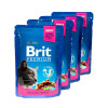 Вологий корм для котів Brit Premium pouch 4 x 100 г - курка та індичка