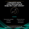 Вологий корм пауч для котів при захворюваннях шлунково-кишкового тракту Pro Plan Veterinary Diets EN Gastrointestinal (лосось) 85 г*10 шт