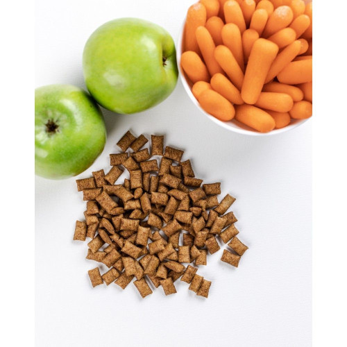 Ласощі для котів Savory Snack Dental Care 60 г (подушечки для гігієни зубів)