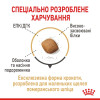 Сухий корм для собак Royal Canin Pomeranian Adult 500 г - домашня птиця