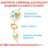 Набір корму для цуценят Royal Canin Yorkshire Puppy 1,5 кг + 4 pouch - домашня птиця
