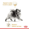 Вологий корм для собак Royal Canin Pomeranian Loaf pouch 85 г, 3+1 шт - домашня птиця