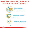 Сухий корм для цуценят Royal Canin Labrador Retriever Puppy 12 кг - домашня птиця