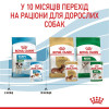 Вологий корм для цуценят Royal Canin Mini Puppy pouch 85 г, 3+1 шт - домашня птиця