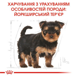 Набір корму для цуценят Royal Canin Yorkshire Puppy 1,5 кг + 4 pouch - домашня птиця