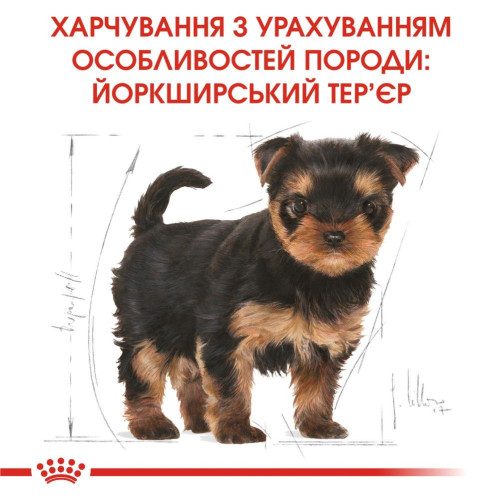 Набір корму для цуценят Royal Canin Yorkshire Puppy 1,5 кг + 4 pouch - домашня птиця