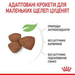Сухий корм для цуценят дрібних порід Royal Canin Mini Puppy 1,6 кг + 400 г у подарунок - домашня птиця