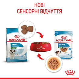 Вологий корм для цуценят Royal Canin Mini Puppy pouch 85 г, 3+1 шт - домашня птиця