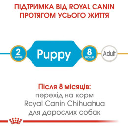 Сухий корм для цуценят породи чихуахуа Royal Canin Puppy Chihuahua | 1,2 кг + 300 г у подарунок - домашня птиця