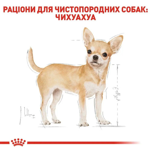 Сухий корм для собак породи чихуахуа Royal Canin Chihuahua Adult 1,2 кг + 300 г у подарунок - домашня птиця