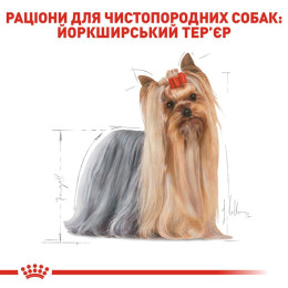 Вологий корм для дорослих собак породи йоркширський тер'єр Royal Canin Yorkshire Terrier Adult pouch 85 г, 3+1 шт у подарунок - домашня птиця