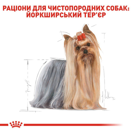 Вологий корм для дорослих собак породи йоркширський тер'єр Royal Canin Yorkshire Terrier Adult pouch 85 г, 3+1 шт у подарунок - домашня птиця