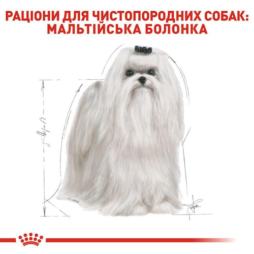 Сухий корм для собак Royal Canin Maltese Adult 1,5 кг - домашня птиця