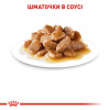Вологий корм для дорослих собак дрібних порід Royal Canin Mini Adult pouch 85 г, 3+1 шт у подарунок - домашня птиця