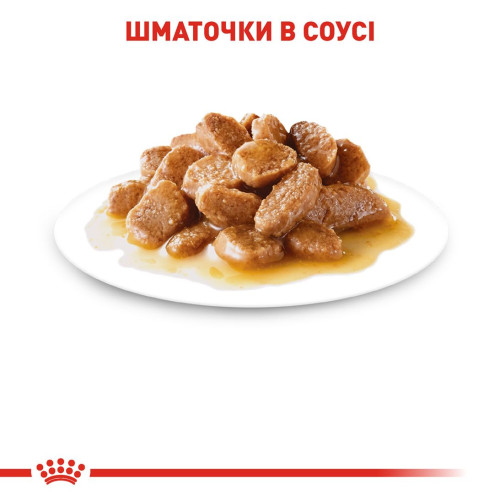 Вологий корм для дорослих собак дрібних порід Royal Canin Mini Adult pouch 85 г, 3+1 шт у подарунок - домашня птиця