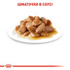 Вологий корм для дорослих собак дрібних порід Royal Canin Mini Adult pouch 85 г, 3+1 шт у подарунок - домашня птиця