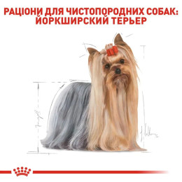 Сухий корм для дорослих собак породи йоркширський тер'єр Royal Canin Yorkshire Terrier Adult 1,2 кг + 300 г у подарунок - домашня птиця