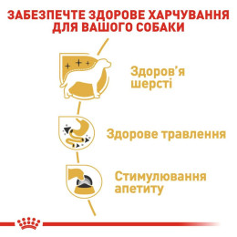Вологий корм для дорослих собак породи чихуахуа Royal Canin Chihuahua Adult pouch 85 г, 3+1 шт у подарунок - домашня птиця