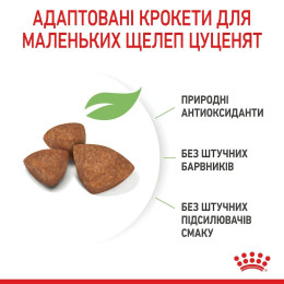 Набір корму для цуценят Royal Canin X-Small Puppy 1,5 кг + 4 pouch - домашня птиця