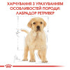 Сухий корм для цуценят Royal Canin Labrador Retriever Puppy 12 кг - домашня птиця