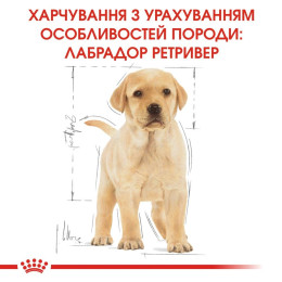 Сухий корм для цуценят Royal Canin Labrador Retriever Puppy 12 кг - домашня птиця