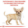Сухий корм для цуценят породи чихуахуа Royal Canin Puppy Chihuahua | 1,2 кг + 300 г у подарунок - домашня птиця