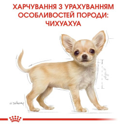 Сухий корм для цуценят породи чихуахуа Royal Canin Puppy Chihuahua | 1,2 кг + 300 г у подарунок - домашня птиця