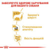 Вологий корм для дорослих собак породи йоркширський тер'єр Royal Canin Yorkshire Terrier Adult pouch 85 г, 3+1 шт у подарунок - домашня птиця