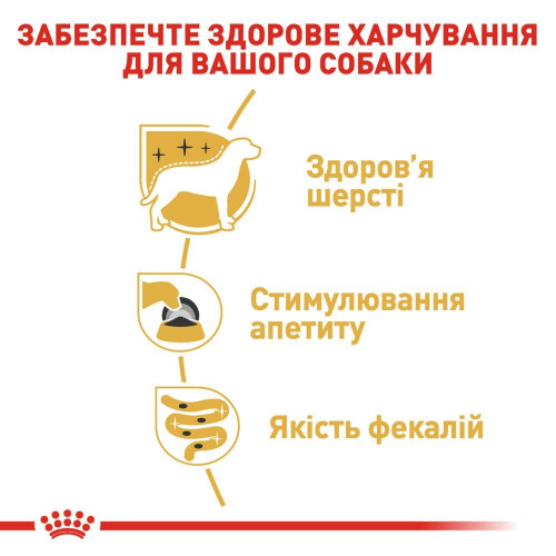 Вологий корм для дорослих собак породи йоркширський тер'єр Royal Canin Yorkshire Terrier Adult pouch 85 г, 3+1 шт у подарунок - домашня птиця