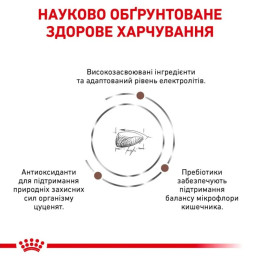 Сухий корм для цуценят Royal Canin Gastrointestinal 2,5 кг - домашня птиця