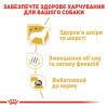 Сухий корм для собак Royal Canin Maltese Adult 1,5 кг - домашня птиця
