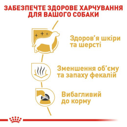 Сухий корм для собак Royal Canin Maltese Adult 1,5 кг - домашня птиця