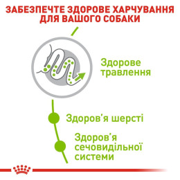 Сухий корм для дорослих собак дрібних порід Royal Canin X-Small Adult 1,2 кг + 300 г у подарунок - домашня птиця