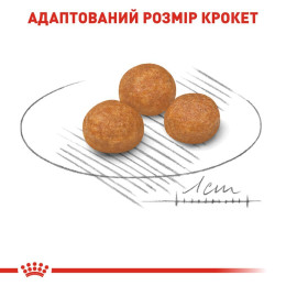 Сухий корм для дорослих собак дрібних порід Royal Canin X-Small Adult 1,2 кг + 300 г у подарунок - домашня птиця