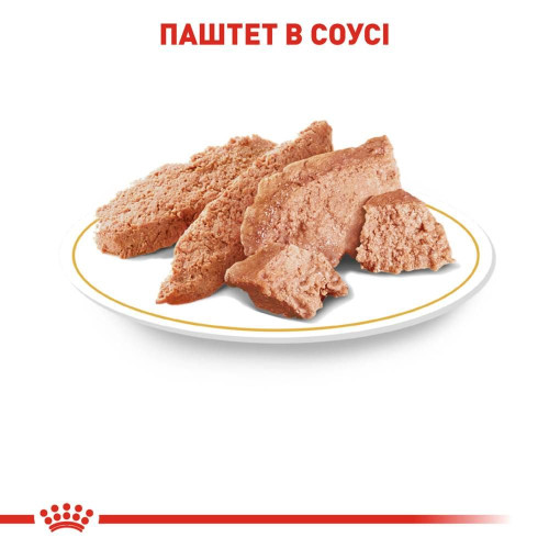 Вологий корм для дорослих собак породи чихуахуа Royal Canin Chihuahua Adult pouch 85 г, 3+1 шт у подарунок - домашня птиця