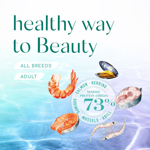 Cухий беззерновий корм для собак усіх порід Optimeal Beauty Fitness Healthy Weight & Joints 10 кг (морепродукти)