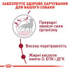 Корм сухий для собак Royal Canin Medium Adult 10 кг - домашня птиця