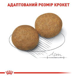 Корм сухий для собак Royal Canin Medium Adult 10 кг - домашня птиця