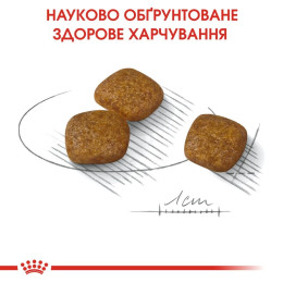 Корм сухий для собак Royal Canin Mini Urinary Care 3 кг - домашня птиця
