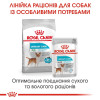 Корм сухий для собак Royal Canin Mini Urinary Care 3 кг - домашня птиця