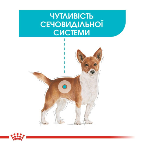 Корм сухий для собак Royal Canin Mini Urinary Care 3 кг - домашня птиця