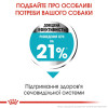 Корм сухий для собак Royal Canin Mini Urinary Care 3 кг - домашня птиця