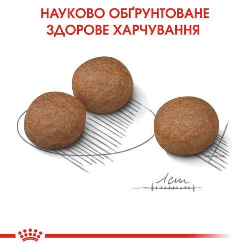 Корм сухий для собак середніх порід із чутливим травленням старше 12 місяців Royal Canin Medium Digestive Care 3 кг - домашня птиця
