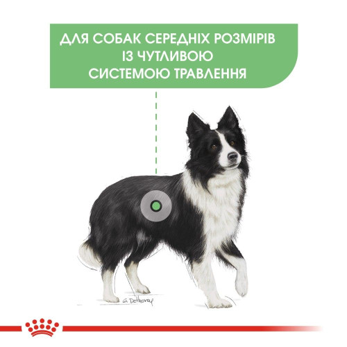 Корм сухий для собак середніх порід із чутливим травленням старше 12 місяців Royal Canin Medium Digestive Care 3 кг - домашня птиця
